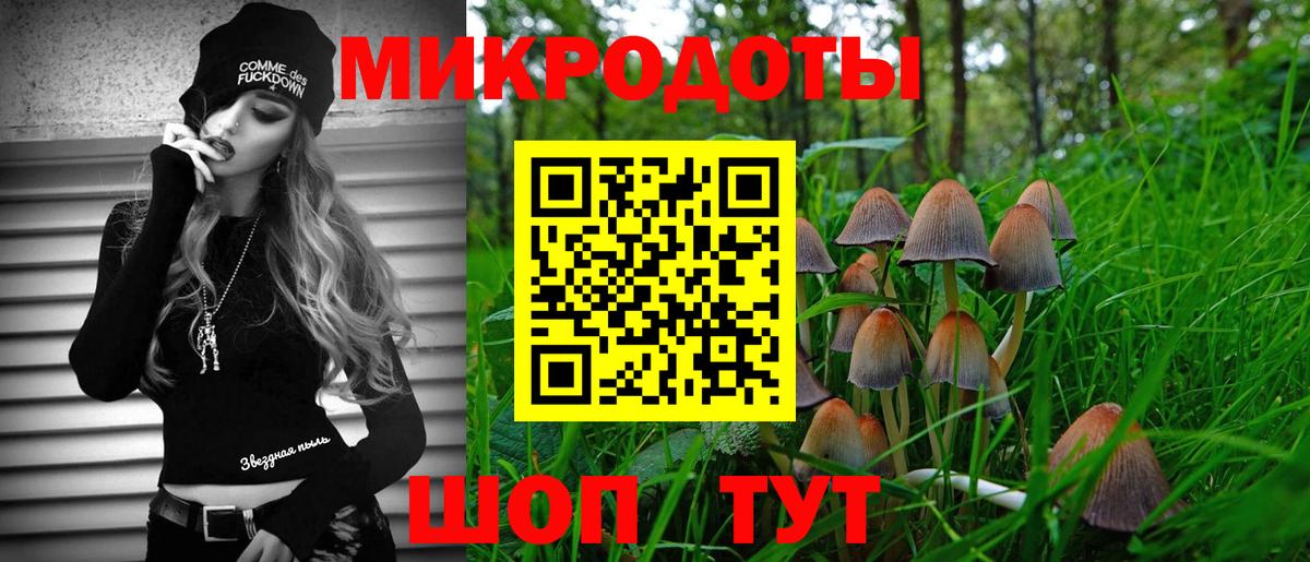 Псилоцибиновые грибы Psilocybe Ступино